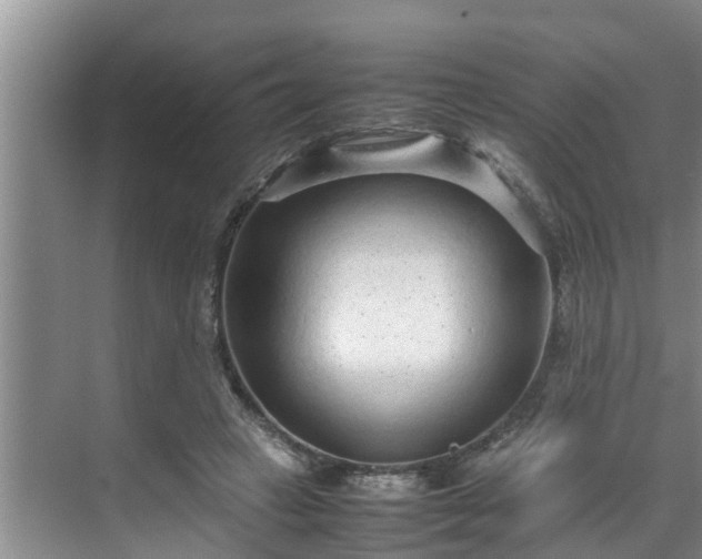 X0000070390449200606161414