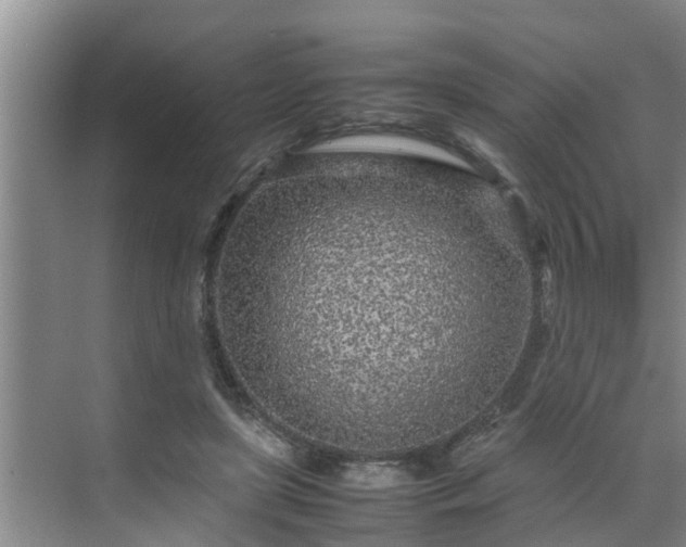 X0000070390451200606161414