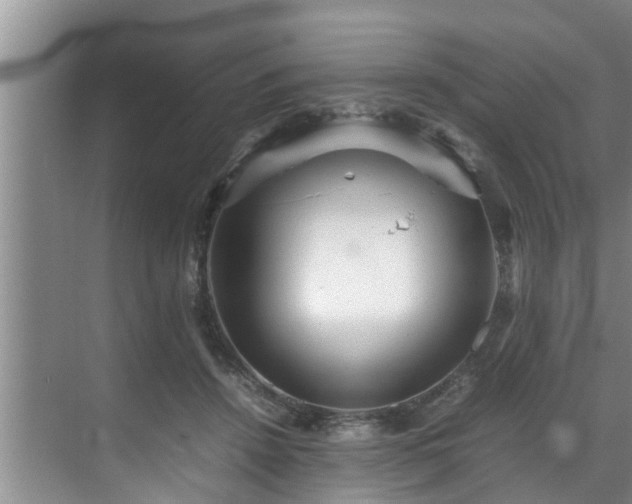 X0000070390456200606161414