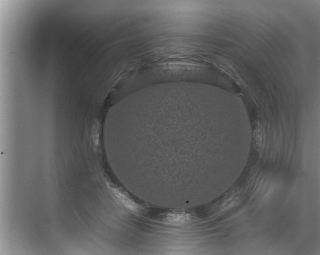 X0000070390458200606161414