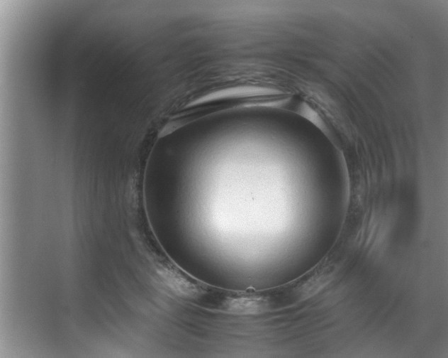 X0000070390461200606161414