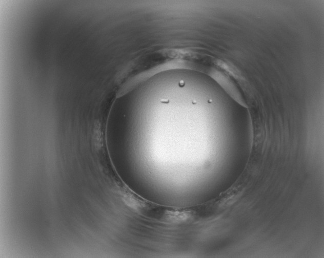 X0000070390469200606161414