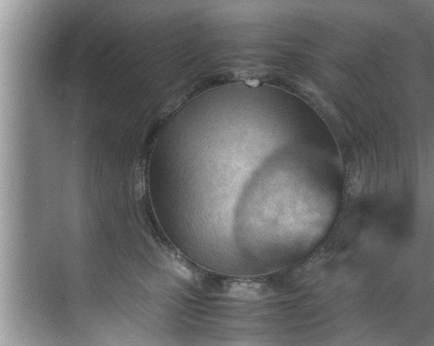 X0000070390471200606161414