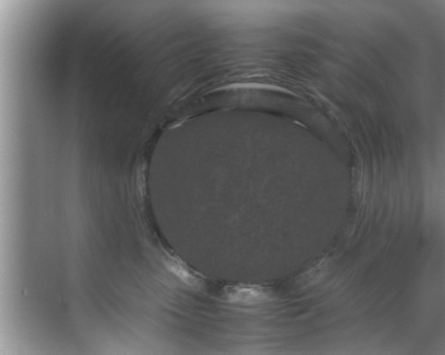 X0000070390475200606161414