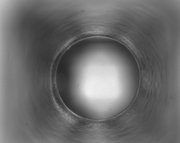 X0000070390482200606161414