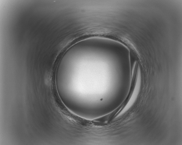 X0000070390483200606161414