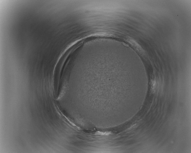 X0000070390484200606161414