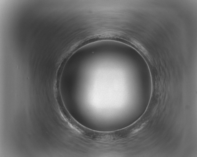 X0000070390485200606161414