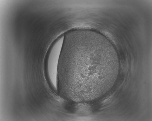 X0000070390487200606161414