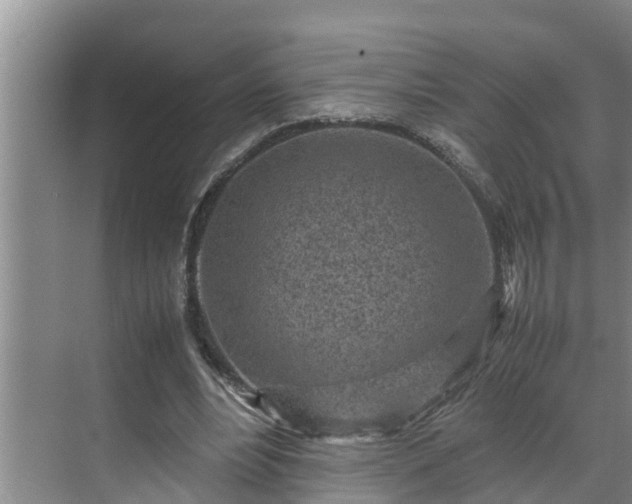 X0000070390488200606161414