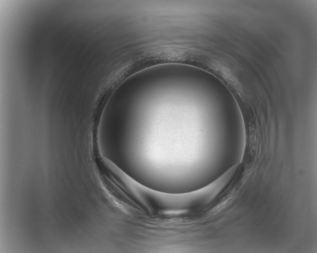 X0000070390493200606161414