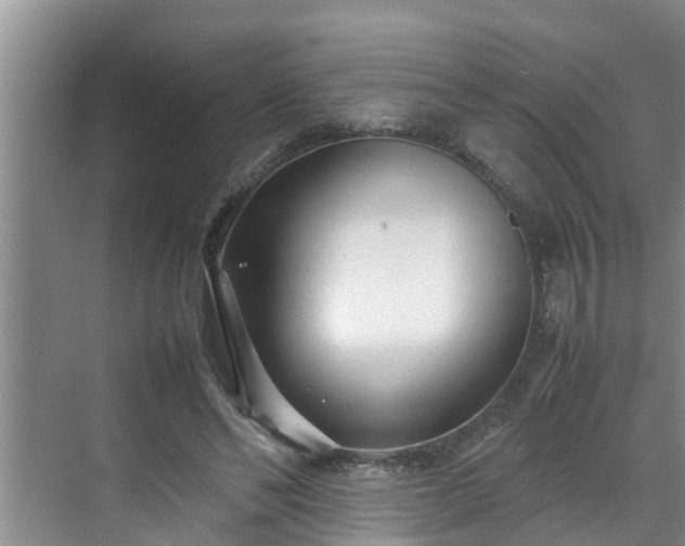 X0000070390494200606161414