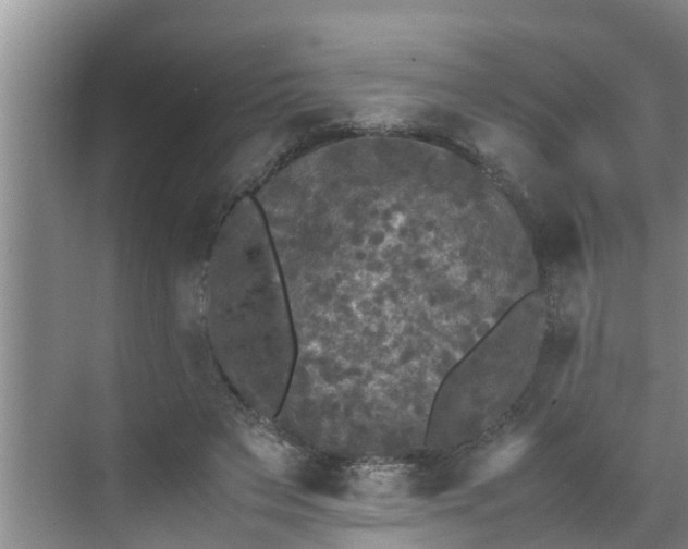 X0000070390495200606161414