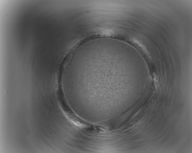 X0000070390496200606161414