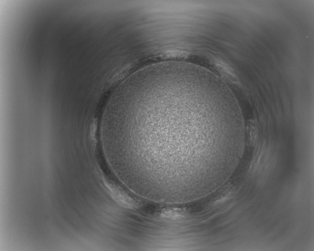 X0000070390550200606161413