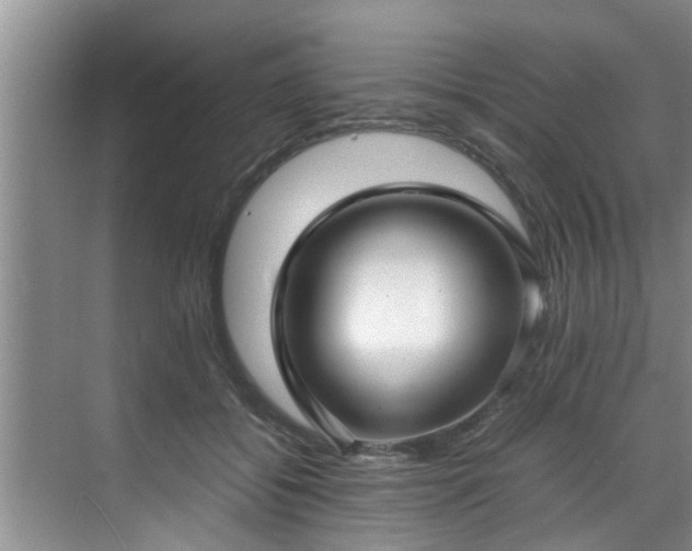 X0000070390556200606161413