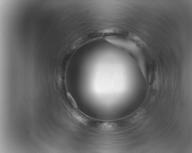 X0000070390566200606161413