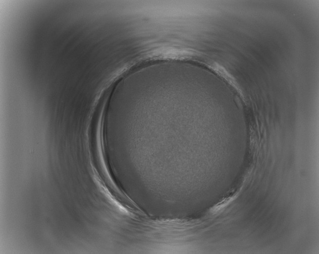 X0000070390581200606161412