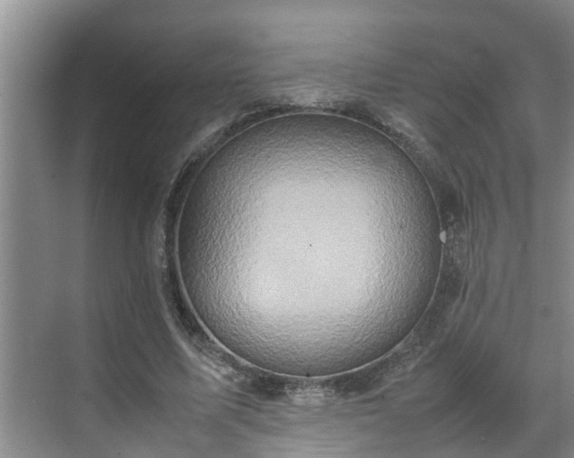 X0000070390587200606161412
