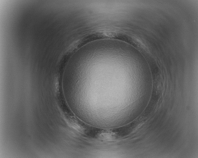 X0000070390595200606161412