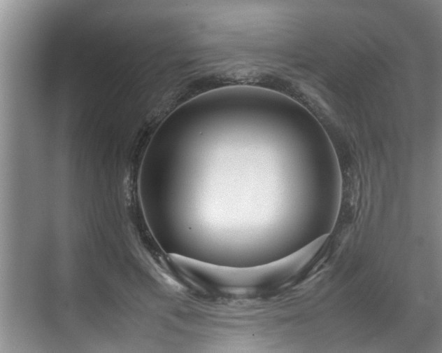 X0000070390597200606161412