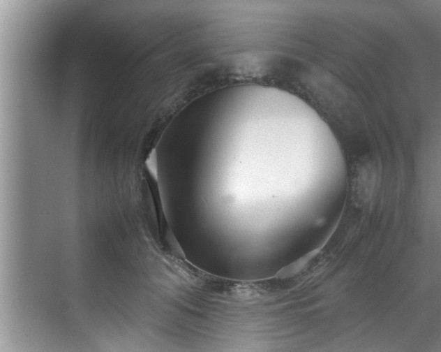 X0000070390608200606161412