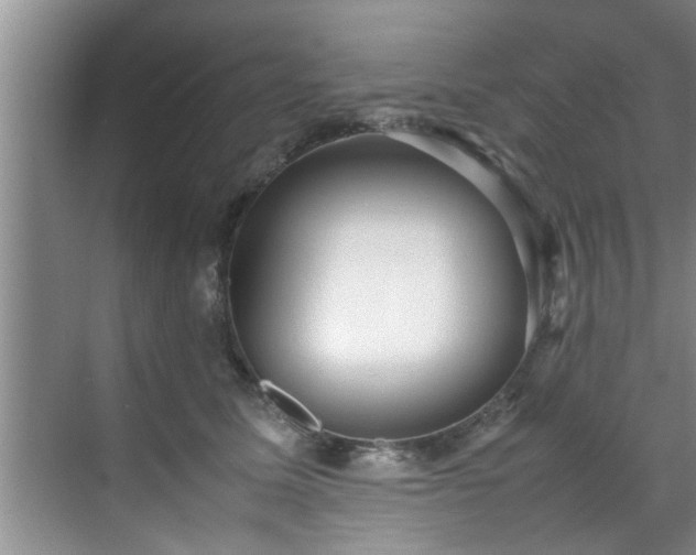 X0000070390611200606161412