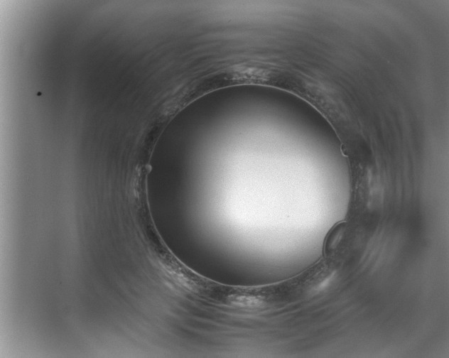X0000070390649200606161411
