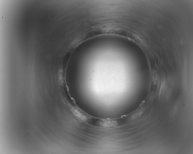 X0000070390670200606161411
