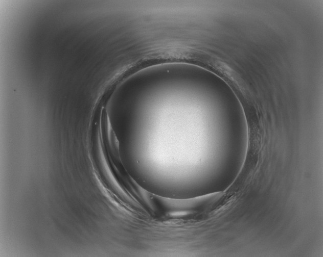 X0000070390677200606161410