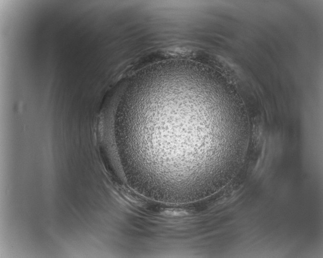 X0000070390749200606161409