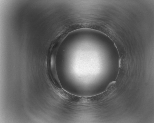 X0000070390750200606161409