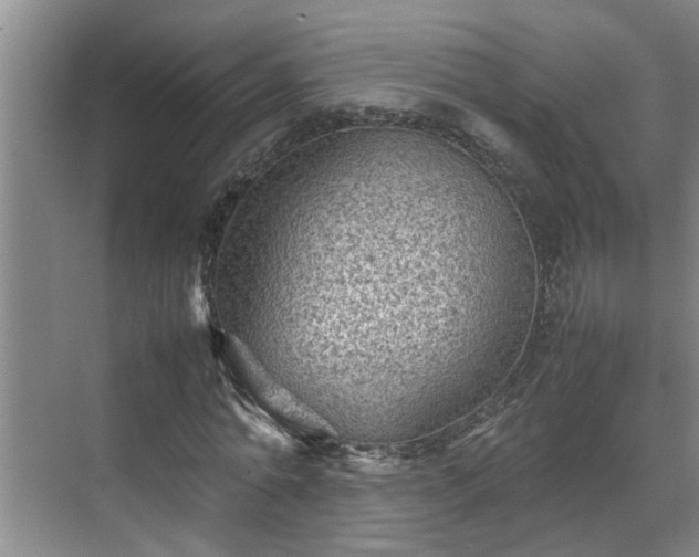 X0000070390774200606161409