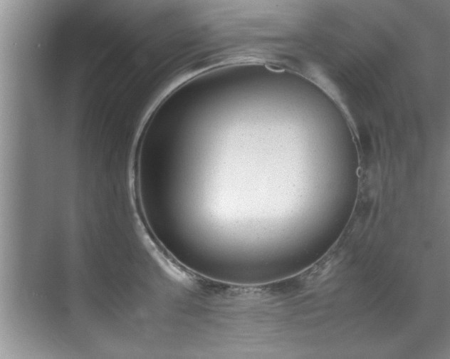 X0000070390811200606161408