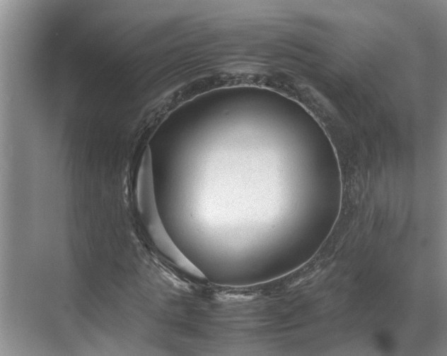 X0000070390821200606161407