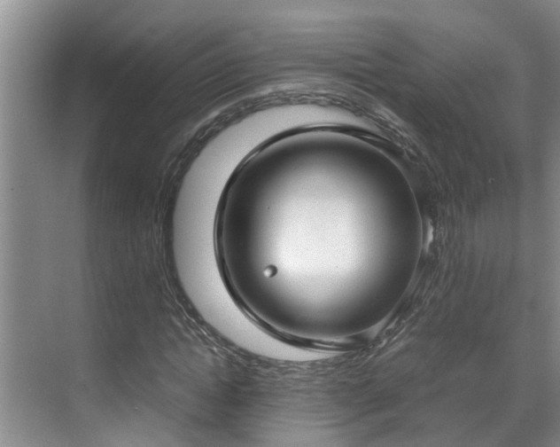 X0000070390822200606161407