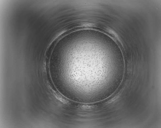 X0000070390827200606161407