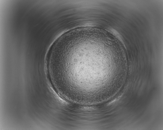 X0000070390835200606161408