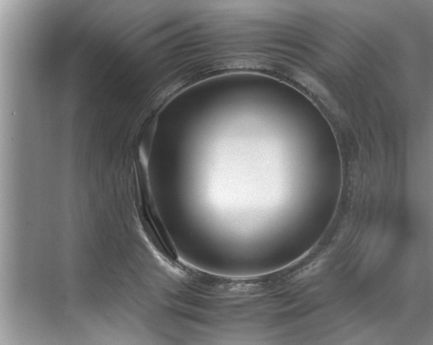 X0000070390841200606161408