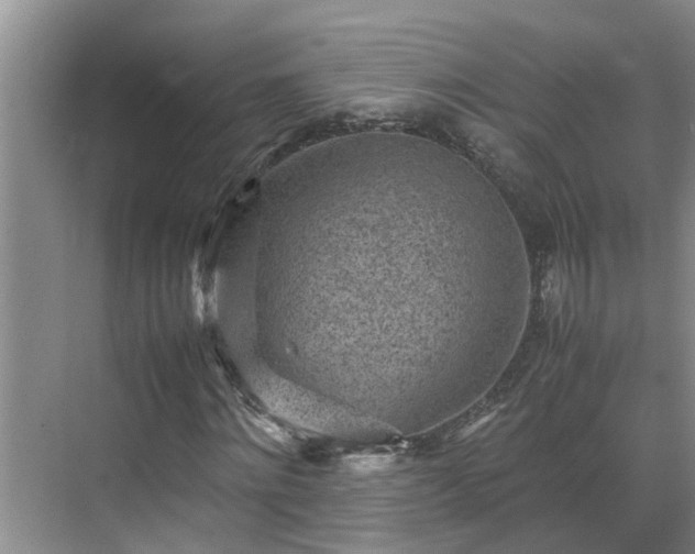 X0000070390868200606161407