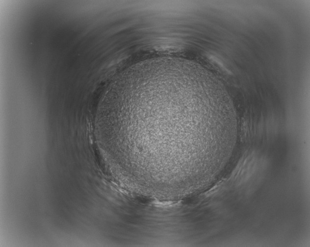 X0000070390917200606161406