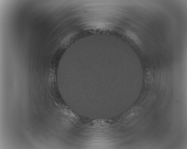 X0000070390918200606161406
