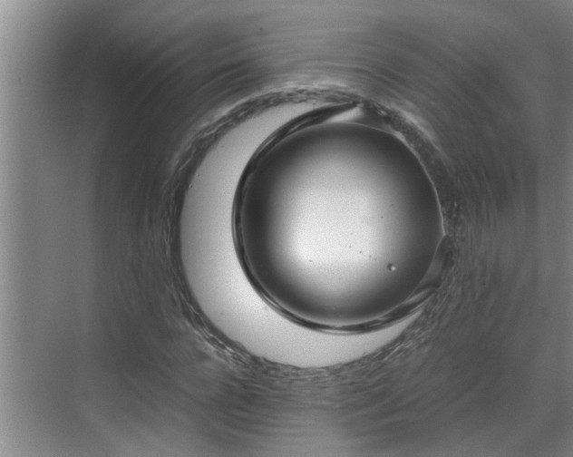 X0000070390920200606161406