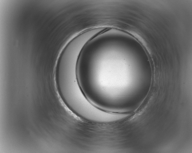 X0000070390949200606161406