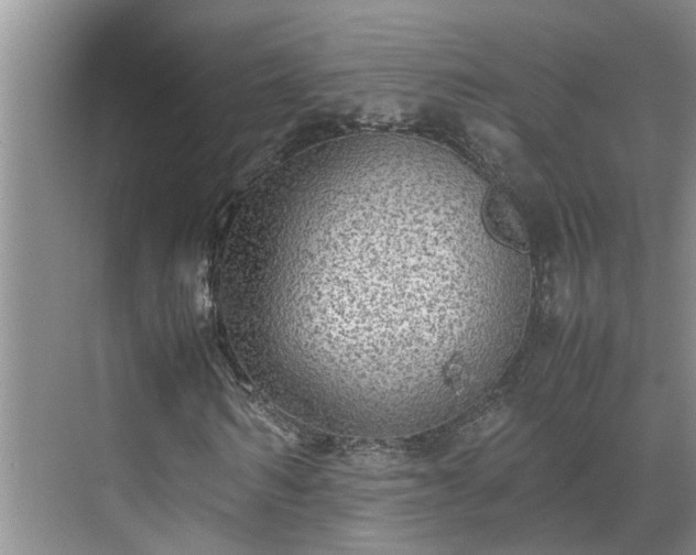 X0000070390962200606161406