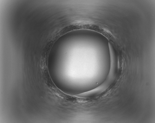 X0000070390965200606161406