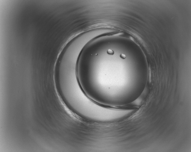 X0000070391034200606161404