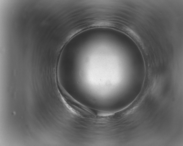 X0000070391041200606161405