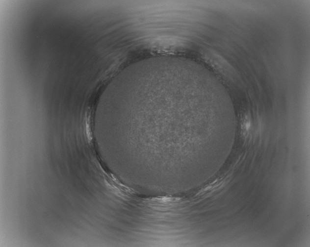 X0000070391060200606161404