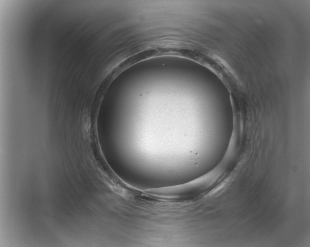 X0000070391065200606161404